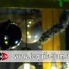 “The Bottled Xmas Tree” In Strasshof