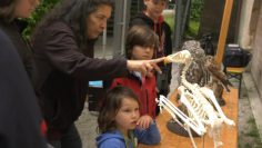Familientag Im Nationalpark Donauauen 2022 Gft341