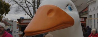 Martinifest Gänserndorf 2023 Gft360